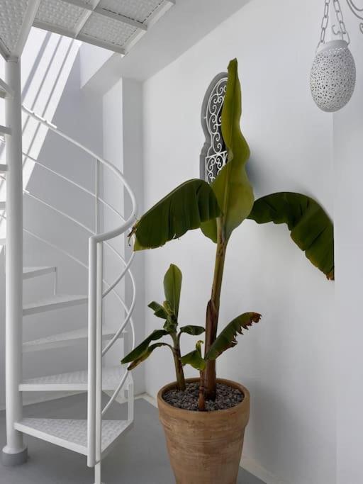 Casa Sira-charming In The Heart Of The Kasbah * Tangier